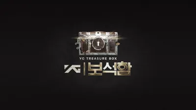 YG Treasure Box