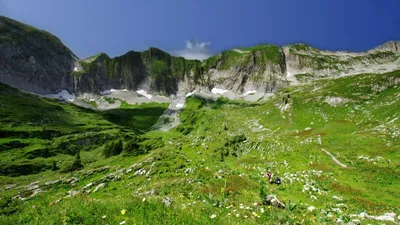 Wild Switzerland