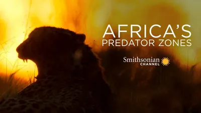 Africa's Predator Zones