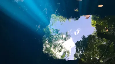 Cenote