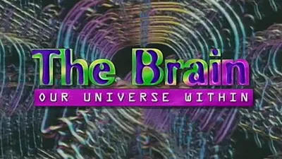 The Brain: Our Universe Within