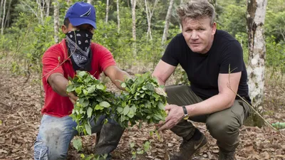 Gordon Ramsay on Cocaine