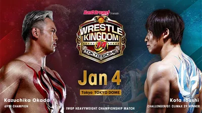 NJPW Wrestle Kingdom 14: Night 1