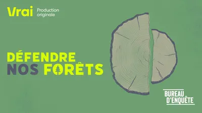 Défendre nos forêts