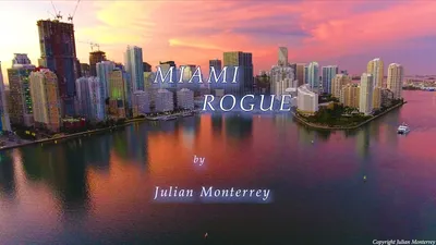 Miami Rogue