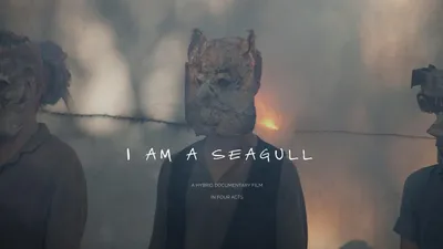 I Am a Seagull