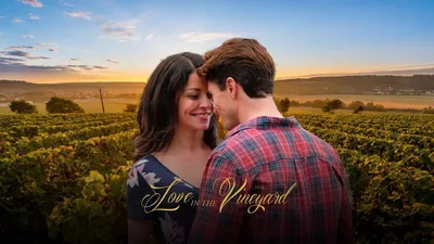 Love in the Vineyard