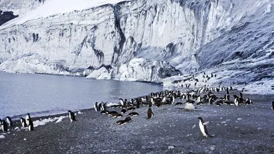 Antarctica: The Frozen Time