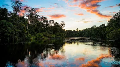 Earth's Great Rivers