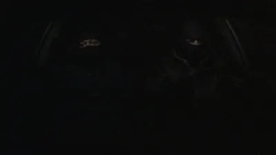The Wolves