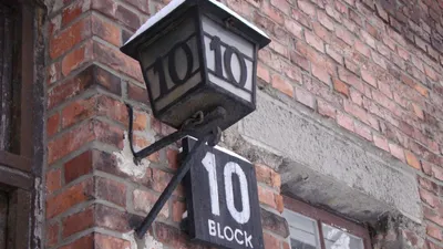 Made in Auschwitz: The Untold Story of Block 10