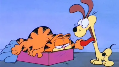 Here Comes Garfield