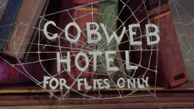 The Cobweb Hotel