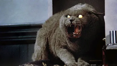 Pet Sematary