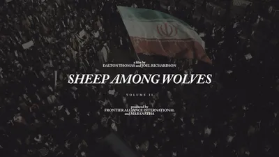 Sheep Among Wolves: Volume II