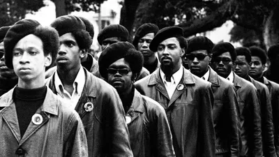 Black Panthers