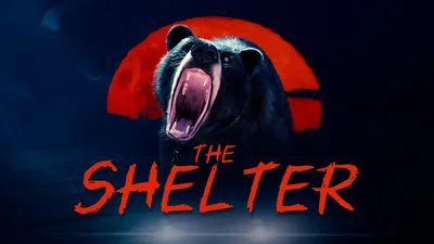 The Shelter