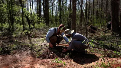 Atlanta Forest Garden: Four Days of Work