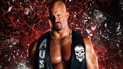 WWE Stone Cold Steve Austin - What?