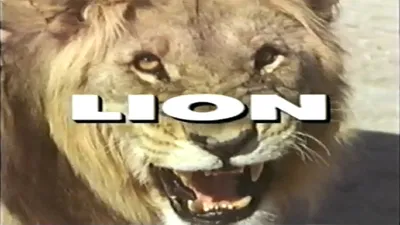 Predators of the Wild: Lion