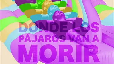 Donde los pájaros van a morir