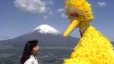 Big Bird in Japan