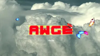 AWGE DVD: Volume 3