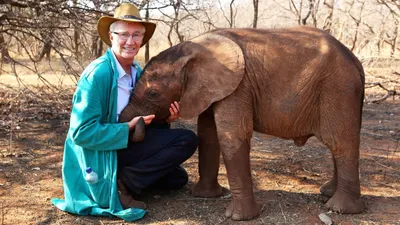 Paul O'Grady's Animal Orphans