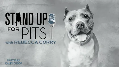 Stand Up for Pits with Rebecca Corry