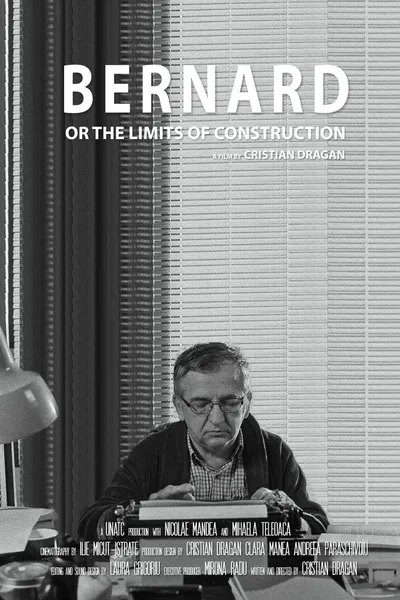 Bernard or the Limits of Construction