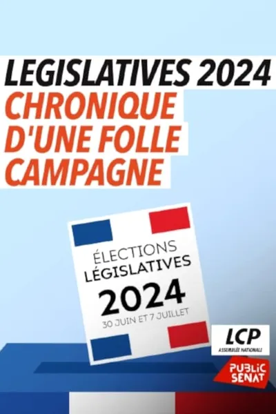 Législatives 2024 : chronique d'une folle campagne