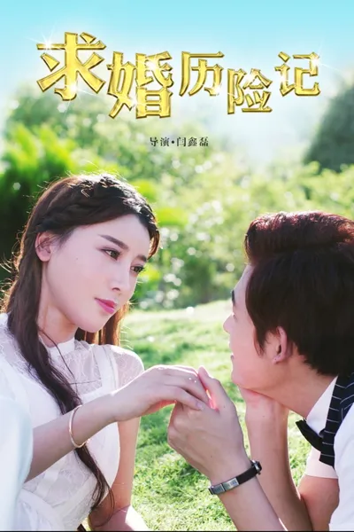 求婚历险记