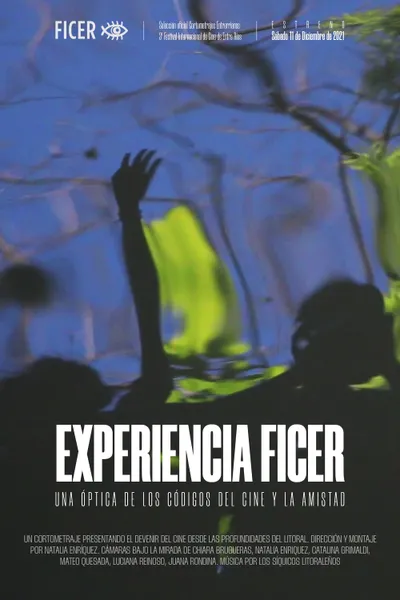 Experiencia FICER