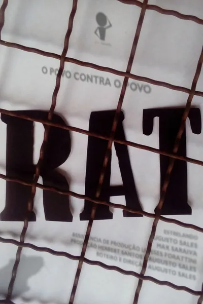 Rat