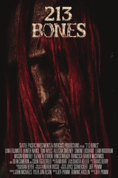 213 Bones