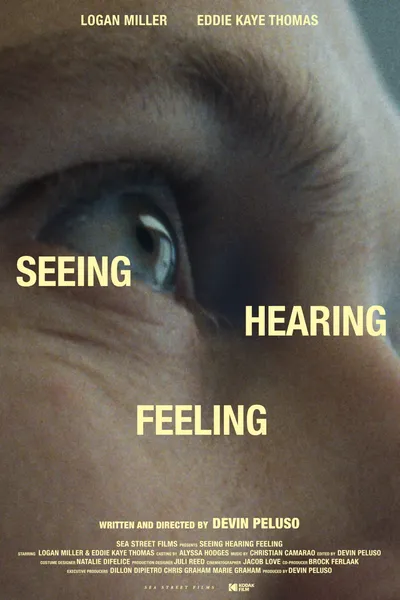 Seeing Hearing Feeling