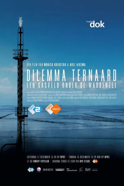 Dilemma Ternaard - Een gasveld onder de Waddenzee