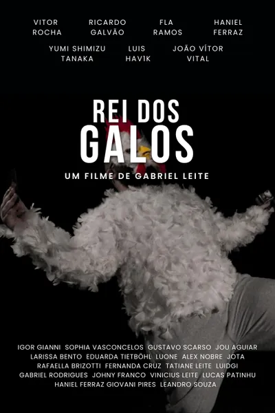 Rei dos Galos