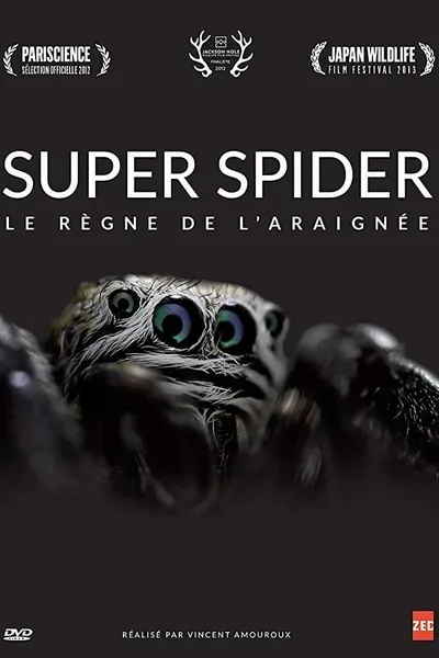 Super Spider