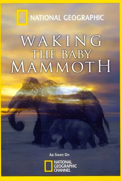 Waking the Baby Mammoth