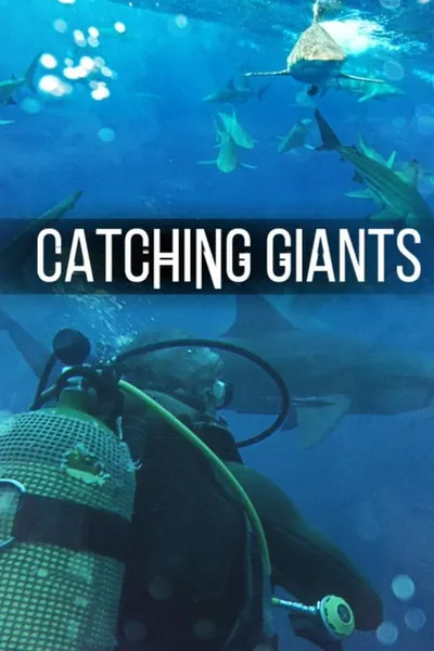 Catching Giants: Zambezi Shark