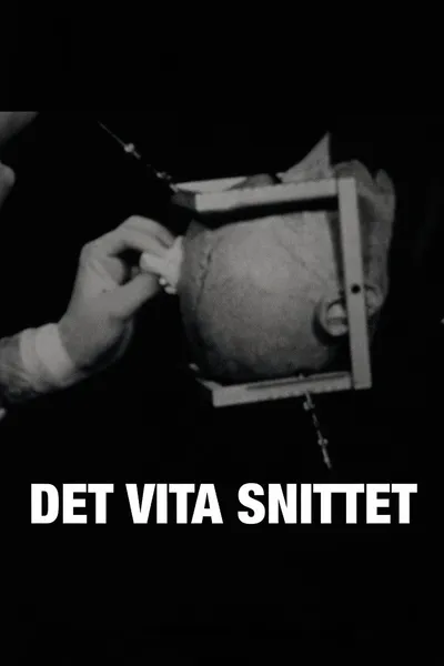 Det vita snittet