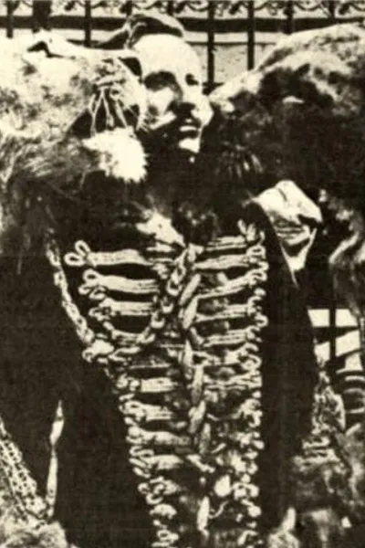 In pasto ai leoni