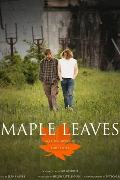Maple Leaves
