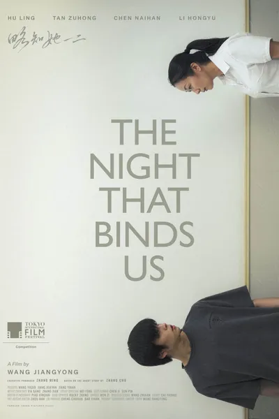 The Night That Binds Us