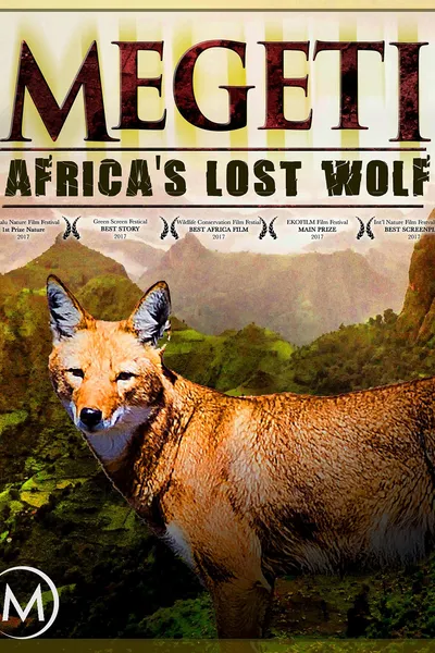 Megeti - Africa's Lost Wolf