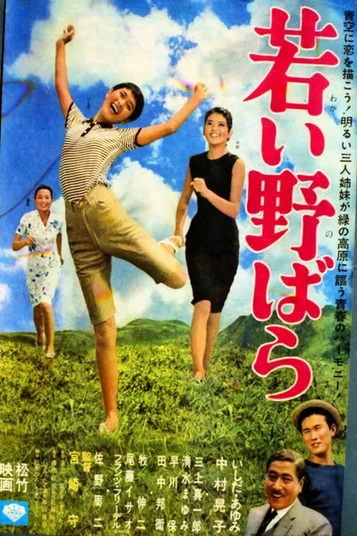 Wakai nobara