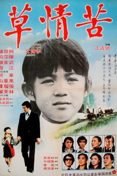 苦情草