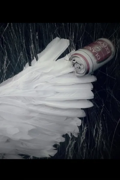 Broken Wings