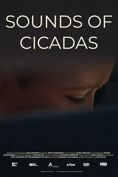 Sounds of Cicadas